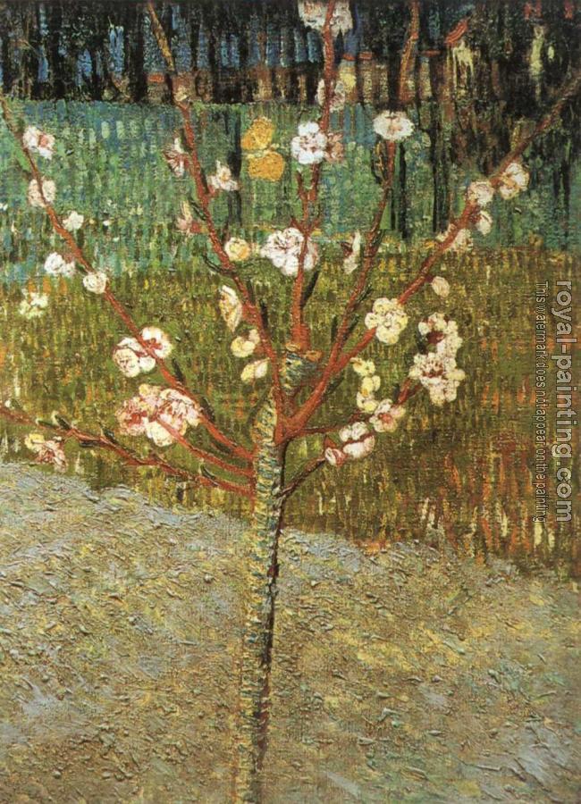 Vincent Van Gogh : Flowering Almond Tree